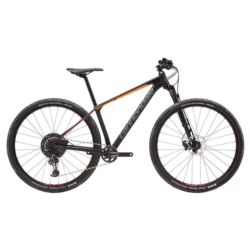 C-DALE F-SI WOMENS CARBON 2 S C25209F10/BBQ 2019