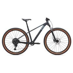 LIV 29 TEMPT 1 M 1101017185 BLACK DIAMOND