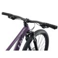LIV 29 TEMPT 3 M 1101019185 TYRIAN PURPLE