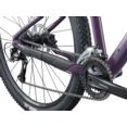 LIV 29 TEMPT 3 M 1101019185 TYRIAN PURPLE