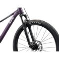 LIV 29 TEMPT 3 M 1101019185 TYRIAN PURPLE