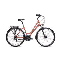 UNIBIKE 28 VISION D 17 9050440825 KORALOWY