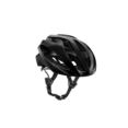 KASK GIANT REV COMP MIPS GLOSS PANTHER BLACK M