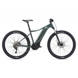 GIANT E 29 TALON E+1 L 2203400107 BALSAM GREEN