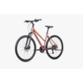 UNIBIKE 28 FLASH D 19 9050739526 BRANDY