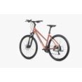 UNIBIKE 28 FLASH D 19 9050739526 BRANDY